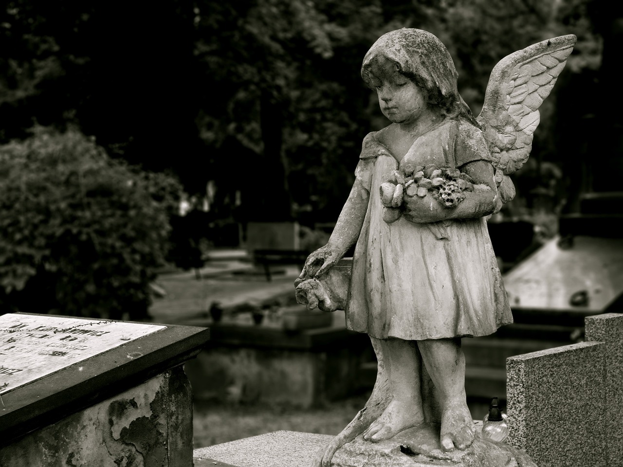 angel, cemetery, dead-629789.jpg